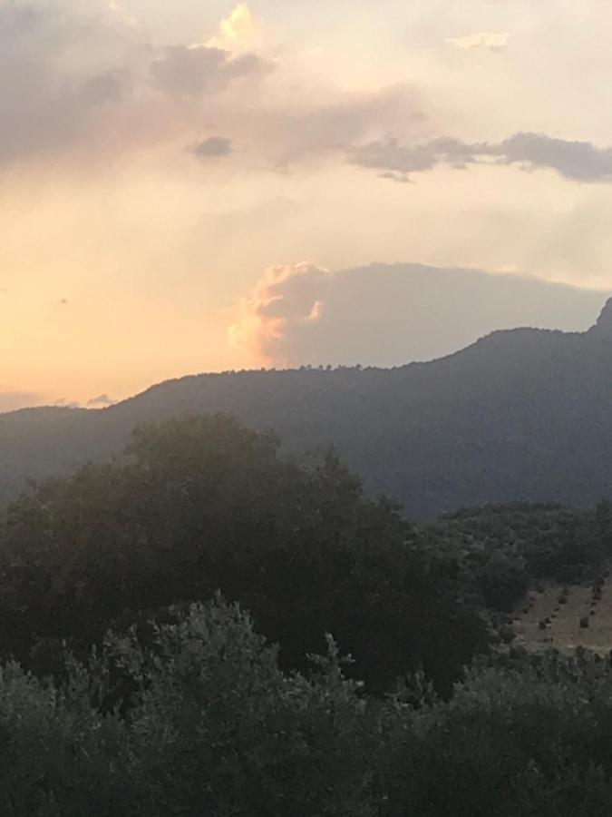 Casa Rural Cortijo La Ajedrea Siles Bagian luar foto